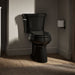 KOHLER K-3979 Highline Two-piece Elongated Toilet, 1.6 GPF, Black Black - image focused on single product story