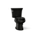 KOHLER K-3997-T Wellworth Two-piece round-front toilet, 1.28 gpf, black black
