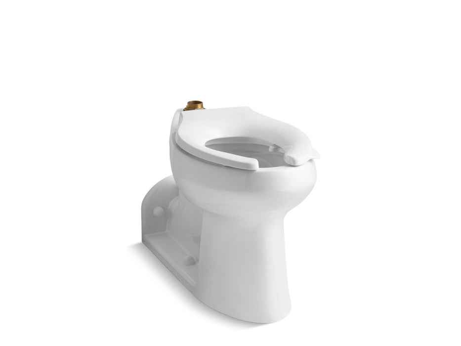 KOHLER K-4352-L Anglesey Floor-mount top spud flushometer bowl with bedpan lugs, white