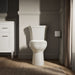 KOHLER K-44468 Highline Toilet tank, 1.6 gpf, biscuit - view 4