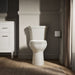 KOHLER K-44470 Highline Toilet tank, 1.28 gpf, biscuit - view 4