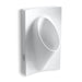 KOHLER K-4919-0 K-4919 Steward Half-stall Waterless Urinal, white