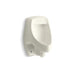 KOHLER K-5016-ER Dexter Siphon-jet half-stall 0.5–1.0 gpf urinal, rear spud, biscuit