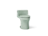 KOHLER K-5172 San Souci One-piece compact elongated toilet with concealed trapway, 1.28 gpf, aspen green