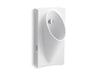 KOHLER K-5244-ER Steward Washout half-stall 0.125 gpf urinal, rear spud, white
