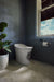 KOHLER K-5401-DA Landshapes One-piece elongated smart toilet, dual-flush, landshapes smart toilet - view 2