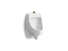 KOHLER K-5452-ETSS Dexter Washout wall-mount 0.125 gpf urinal with top spud, antimicrobial, white