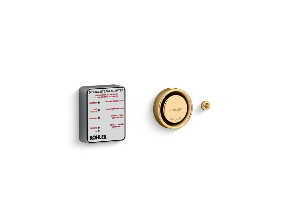 KOHLER K-5548-K1 Invigoration Series DTV+ Digital steam adapter kit, vibrant brushed moderne brass