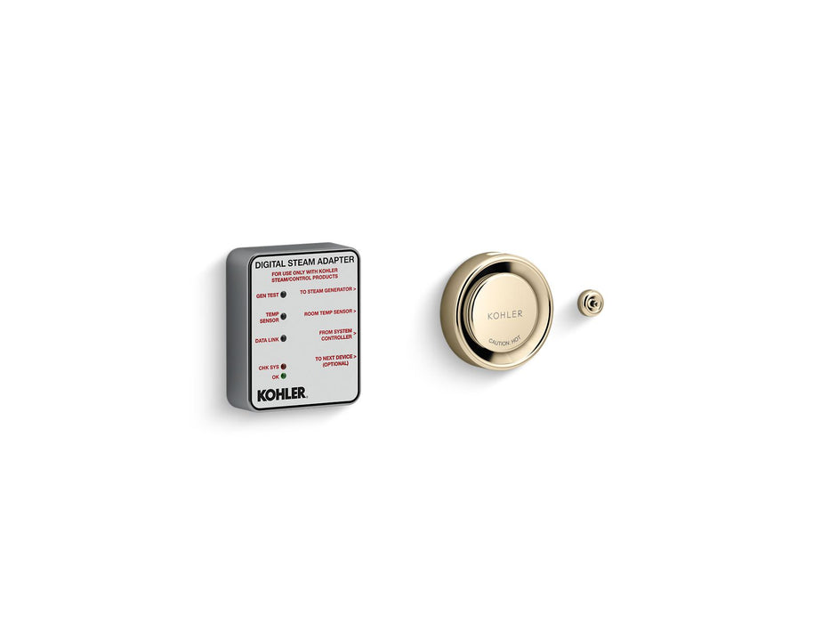 KOHLER K-5548-K1 Invigoration Series DTV+ Digital steam adapter kit, vibrant french gold