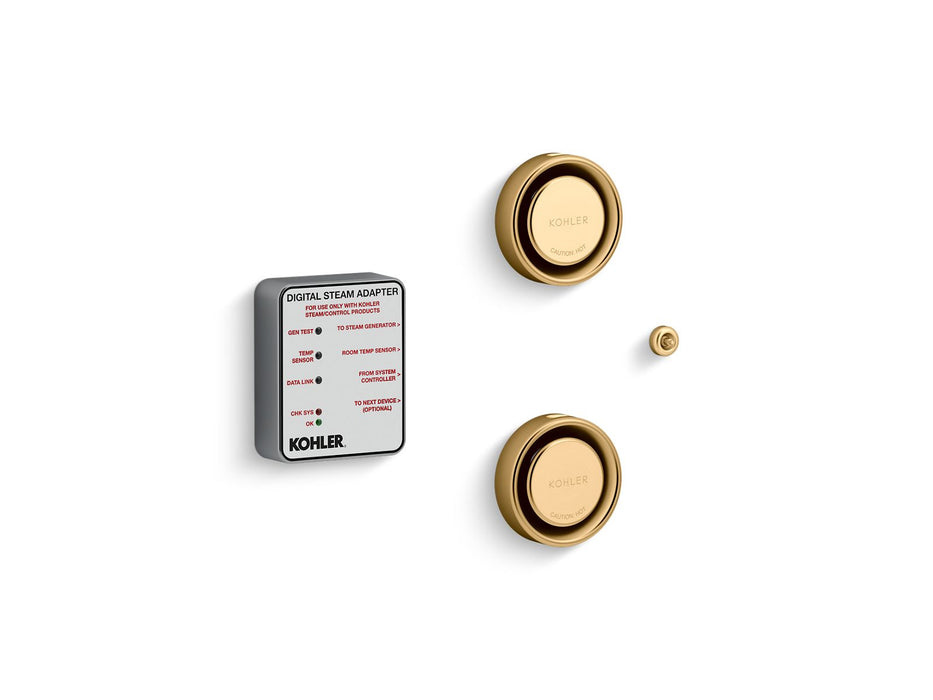 KOHLER K-5549-K1 Invigoration Series DTV+ Tandem digital steam adapter kit, vibrant brushed moderne brass