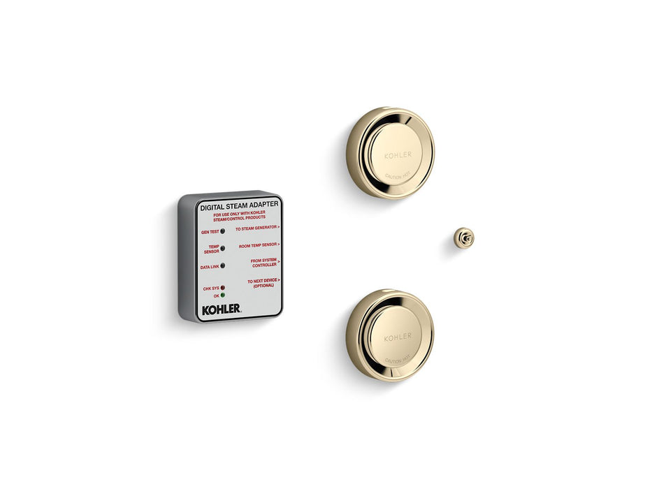 KOHLER K-5549-K1 Invigoration Series DTV+ Tandem digital steam adapter kit, vibrant french gold