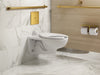 KOHLER K-60TB00S50 Mach Flex Metal faceplate for concealed touchless toilet flushometer, dual-flush (1.1 / 1.28 gpf),...