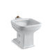 KOHLER K-6676-0 K-6676 Tyrrell 21" x 27-1/8" Floor-mount Siphon-jet Flushing Rim Service Sink, white