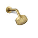 KOHLER K-72416 Awaken Single-function showerhead, 1.5 gpm, vibrant brushed moderne brass - view 5