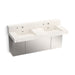 KOHLER K-81025-BSS Constellation 60" wall-mount basin lavatory system with backsplash, arrow root