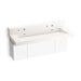 KOHLER K-81027-BPW Constellation 60" wall-mount trough lavatory system with backsplash, designer white