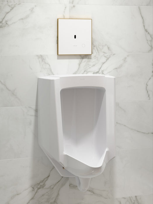 KOHLER K-91UB10D40-0WH Mach Flex Glass faceplate for concealed touchless urinal flushometer, 0.125 gpf, vibrant brushed...