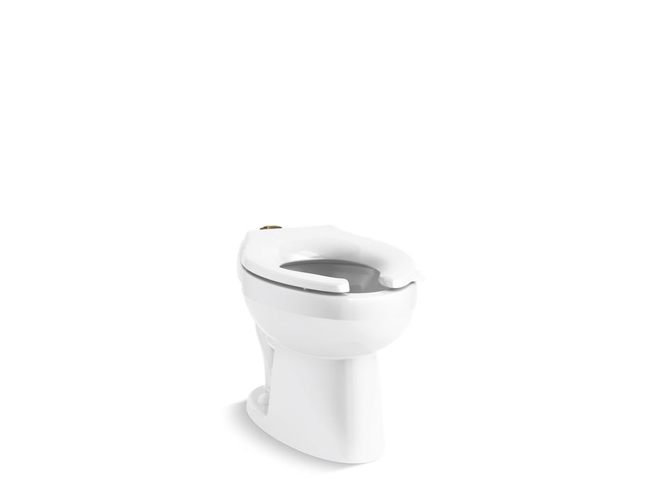 KOHLER K-96053-SSL Wellcomme Floor-mount top spud antimicrobial flushometer bowl with bedpan lugs, white
