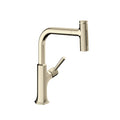 Polished Nickel