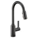Moen Genta LX 7882 One-Handle Pulldown Kitchen Faucet