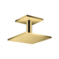 Polished Gold Optic