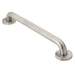 Moen Moen Home Care 8716 16" Concealed Screw Grab Bar