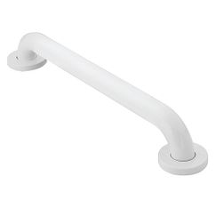 Moen  12" Concealed Screw Grab Bar