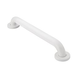 Moen  18" Concealed Screw Grab Bar