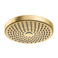 Brushed Gold Optic