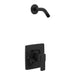 Moen Iver T2572NH Posi-Temp(R) shower only