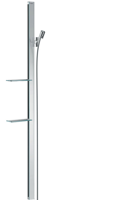 hansgrohe Unica Wallbar Raindance E, 60"