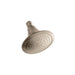 KOHLER K-10282-AK Fort?? 2.5 gpm single-function showerhead with Katalyst air-induction technology