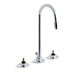 KOHLER 7435-K-CP Triton Widespread Commercial Bathroom Sink Faucet With Gooseneck Spout And Pop-Up Drain, Requires Handles in Polished Chrome