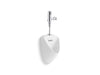 KOHLER K-PR20713-T1D Tend Washout urinal with Mach Tripoint touchless DC 0.125 gpf flushometer