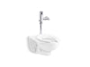 KOHLER K-PR84325-T4DS Kingston Ultra Antimicrobial toilet with Mach Tripoint touchless DC 1.28 gpf flushometer