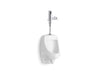 KOHLER K-PR5452-T1D Dexter High-efficiency urinal with Mach Tripoint touchless DC 0.125 gpf flushometer