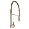 Polished Nickel