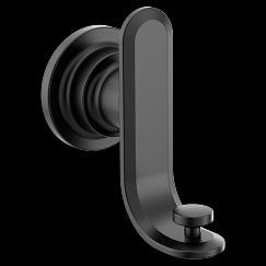 Moen  Double Robe Hook