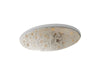 KOHLER K-14218-T9 Mille Fleurs Caxton 19-1/4" oval undermount bathroom sink, no overflow