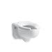 KOHLER Stratton™ Water-Guard Wall-mount 3.5 gpf flushometer valve elongated blow-out toilet bowl with top inlet, requires seat