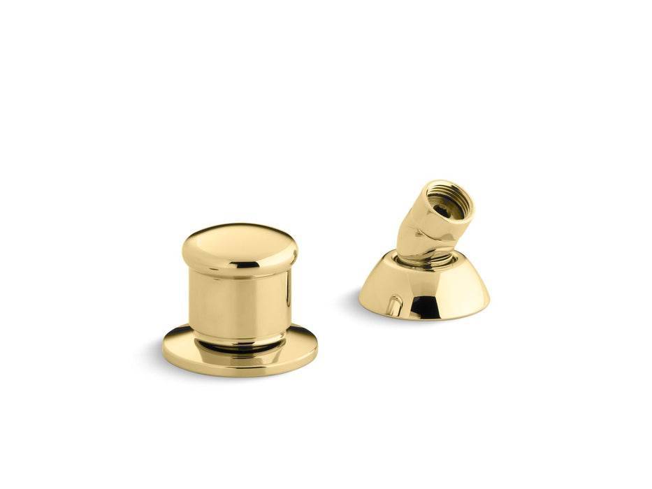 KOHLER K-8549 Two-way diverter valve and handshower hose guide