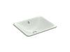 KOHLER K-5400 Iron Plains 18-1/2" rectangular drop-in/undermount bathroom sink