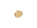 Vibrant Brushed Moderne Brass