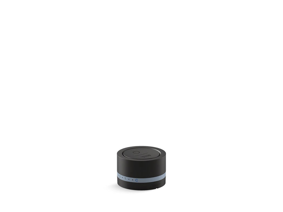 KOHLER K-29204 DTV Mode Deck-mount bath filler digital interface