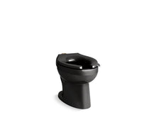 Load image into Gallery viewer, KOHLER K-96053-L Wellcomme Ultra Floor-mount top spud flushometer bowl with bedpan lugs
